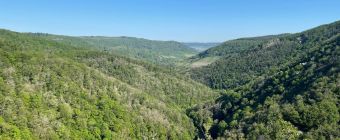 © Tourist Information Traben-Trarbach